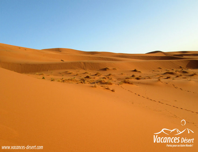 A la découverte du désert et des ergs du Sahara au Maroc