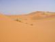 Voyage désert : Dunes de sable au Maroc