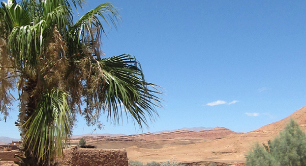 Circuit désert Maroc