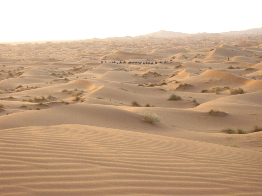 Dunes et désert