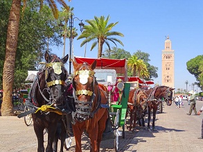 Riads de luxe Marrakech