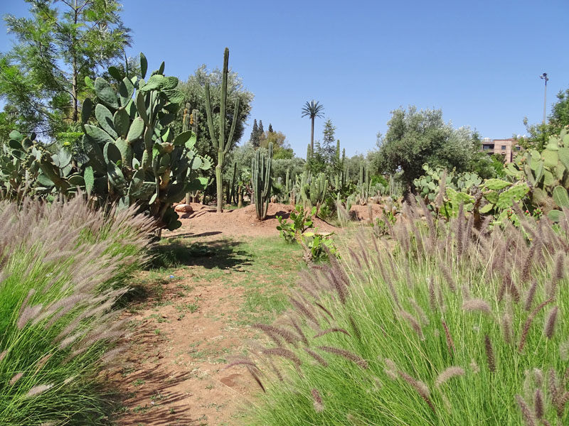 Jardins de Marrakech à voir ! 