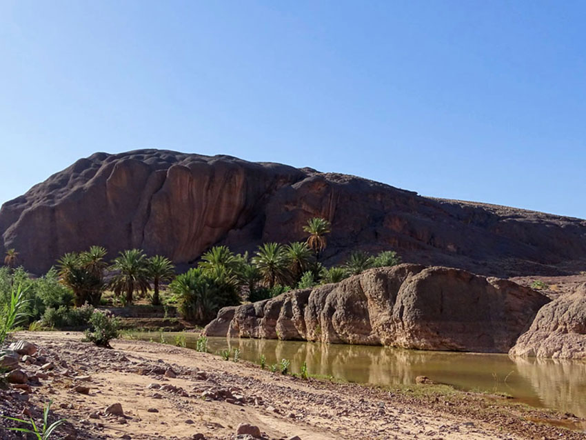 Vacances Maroc : Oasis et désert