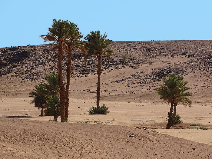 Vacances Maroc entre nature et désert ..