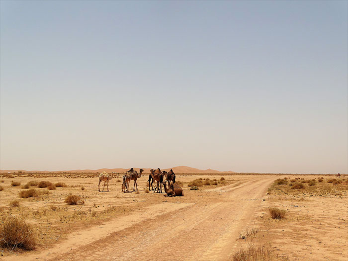 Voyage envoûtant au désert : une vraie expérience spirituelle !