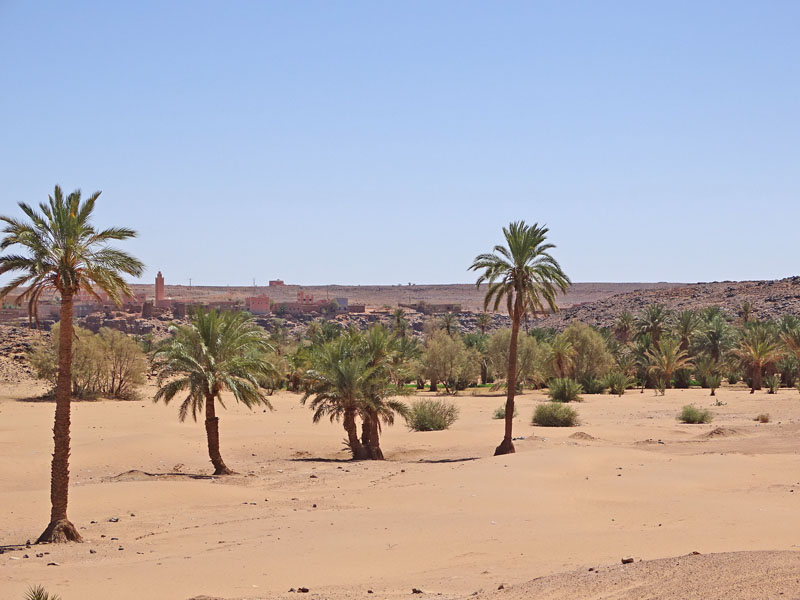 Voyage sud Maroc : Authenticité et émotions !