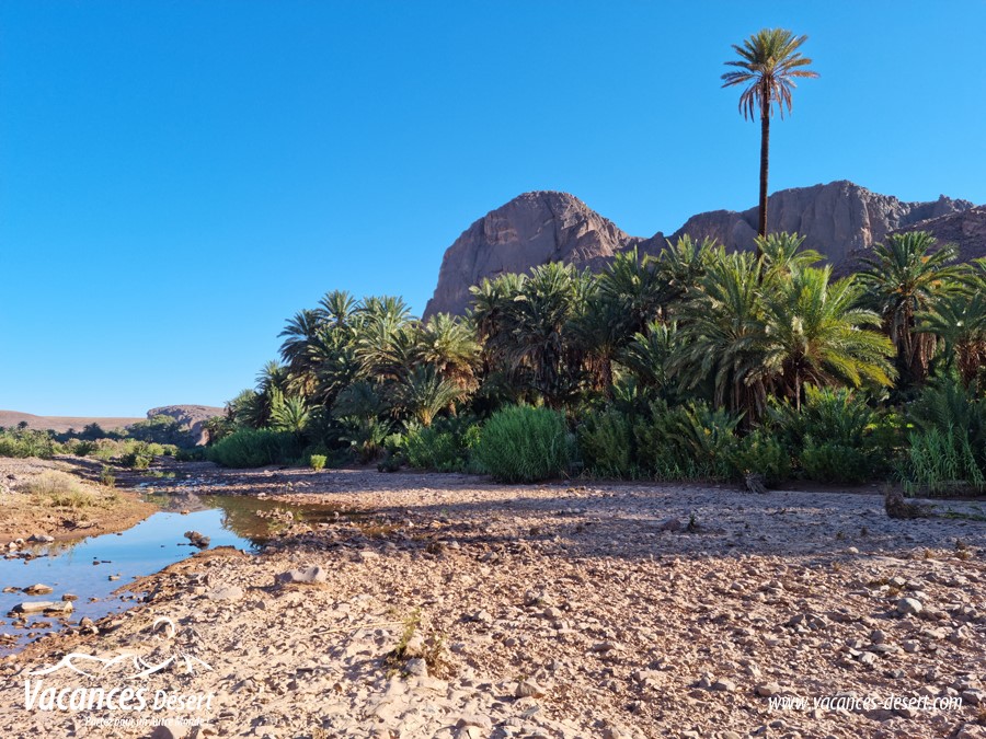 Une merveille du Sud Maroc : l’oasis de Fint !