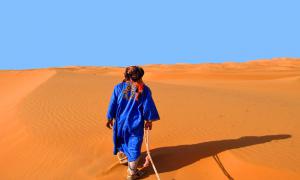 balade à dos de dromadaire - voyage desert 