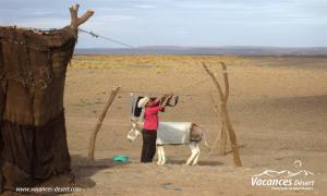Trekk au désert Maroc