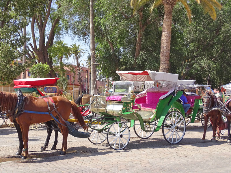 Week-end à Marrakech ! Riads de luxe et visites guidées 