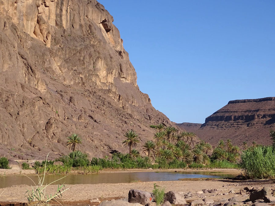 Visiter l'oasis de Fint : un incontournable du sud marocain