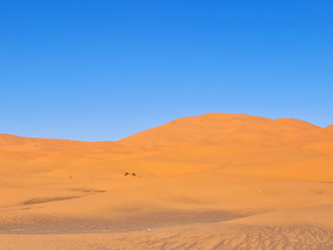 Pourquoi choisir le désert pour vos prochaines vacances au Maroc ?