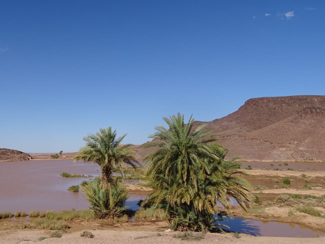 Les incontournables d'un voyage au désert marocain !  Chegaga, Merzouga et la vallée du Drâa…