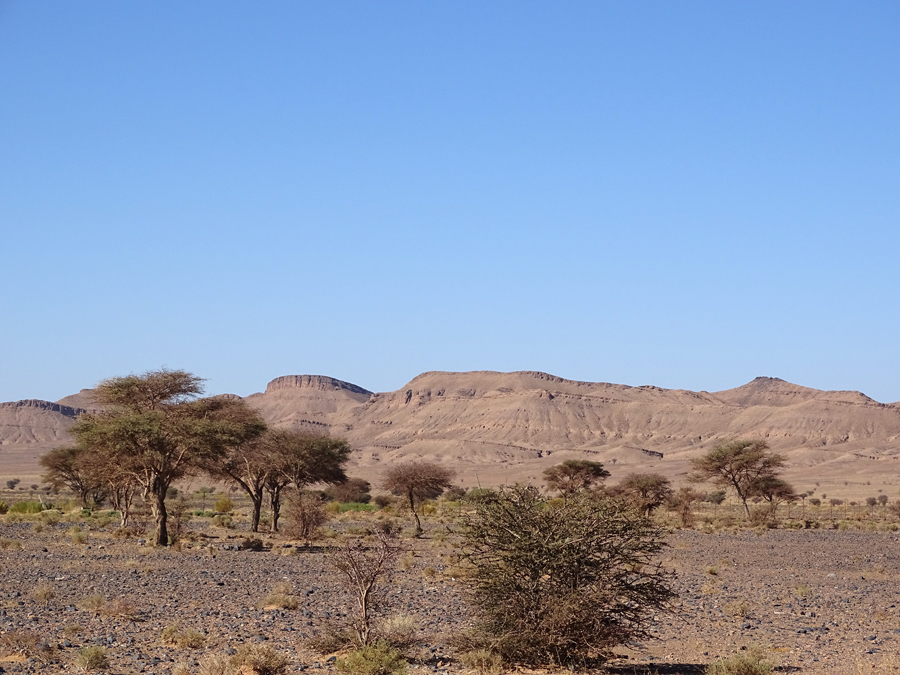 Les meilleures périodes pour un voyage au désert Maroc ! 