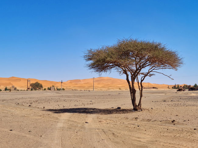 Voyage désert marocain : A quand partir ? 