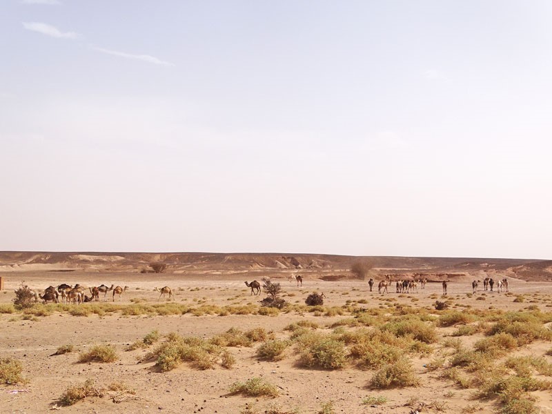 Circuit au désert Maroc !