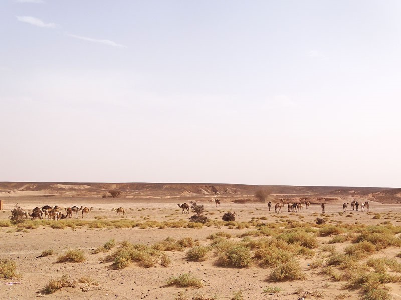 Circuit désert Maroc : voyage inoubliable dans le Sahara !