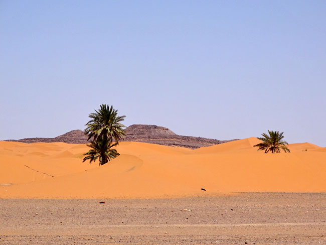 Voyage sud Maroc ! Comme la destination en vogue ! 