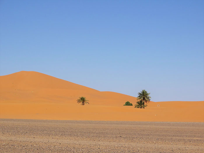 Voyage sud Maroc : Découvrez le vrai Maroc !