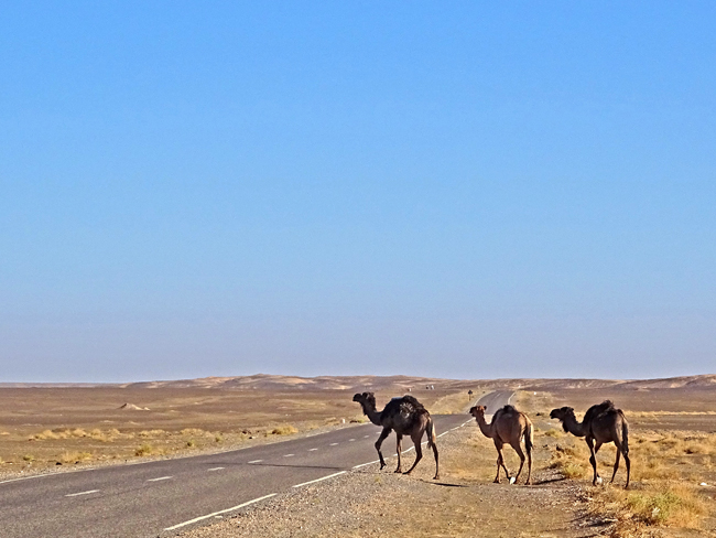 Voyage au desert Maroc ! 