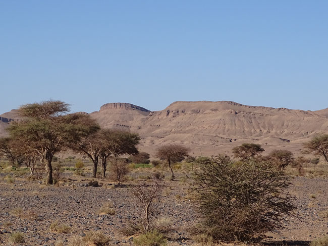 Les incontournables d'un voyage au désert marocain !  Chegaga, Merzouga et la vallée du Drâa…
