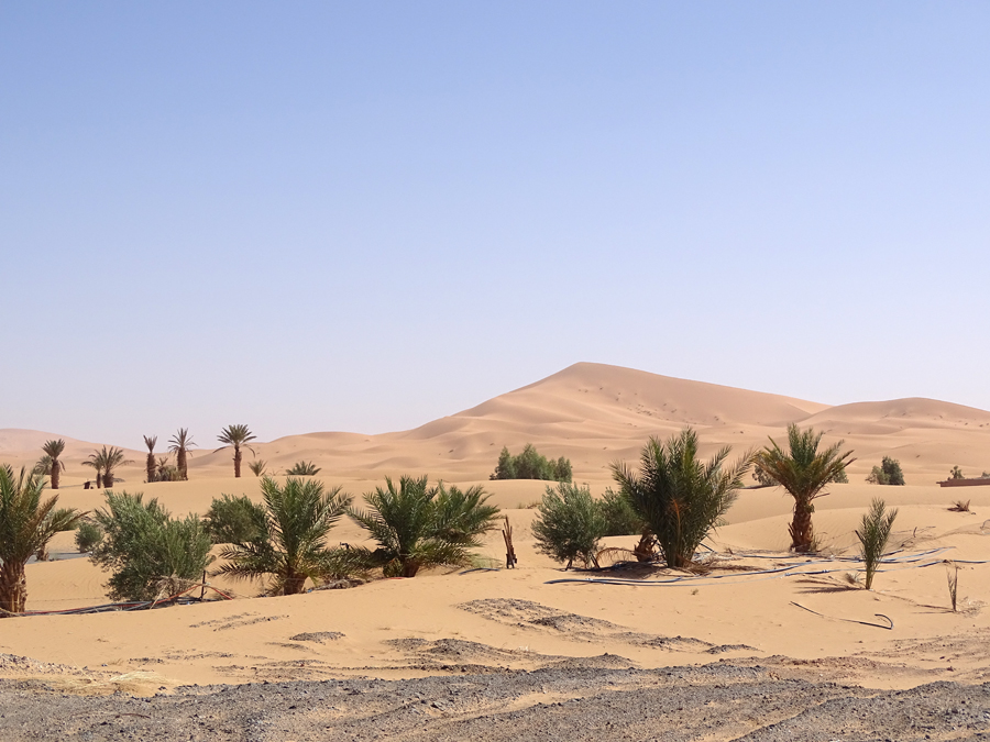 Les meilleures périodes pour un voyage au désert Maroc ! 