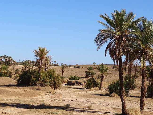 Voyage désert marocain : A quand partir ? 