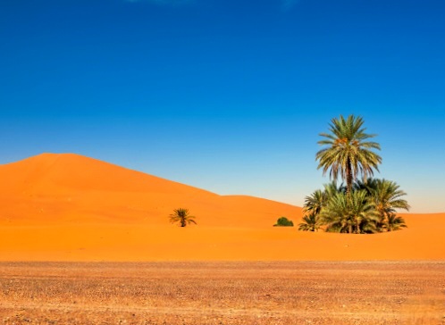 Voyage organisé Maroc : Circuit Désert Maroc, Bivouac Luxe & Rencontre et partage 