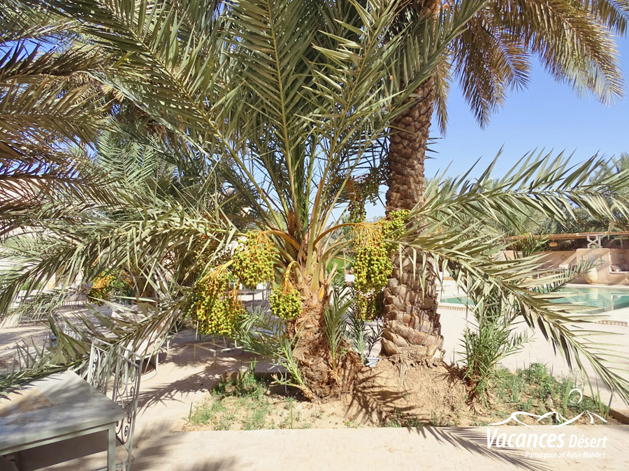 Avant d’aller en voyage au Maroc : informez-vous !
