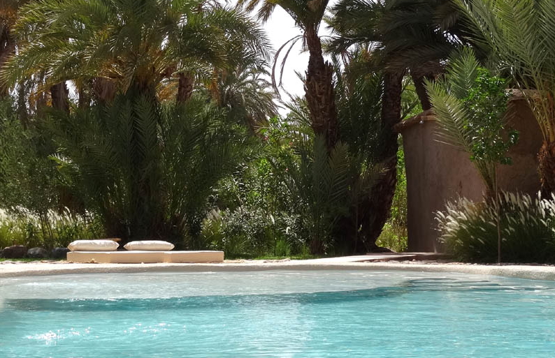 maison d hotes à skoura avec piscine